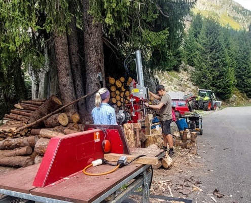 People working with logs outdoors.